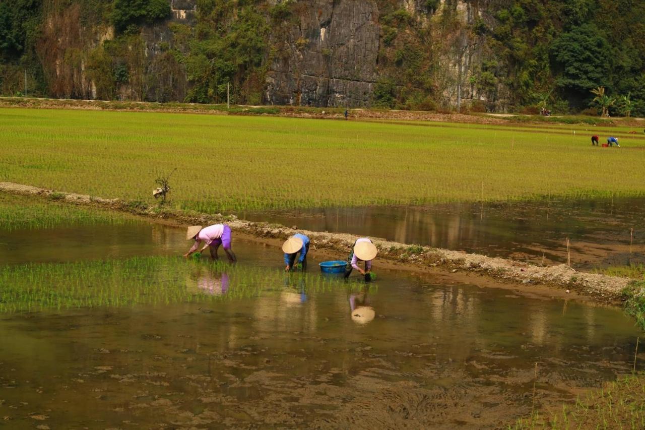 Tuan Nam Homestay Ниньбинь Экстерьер фото