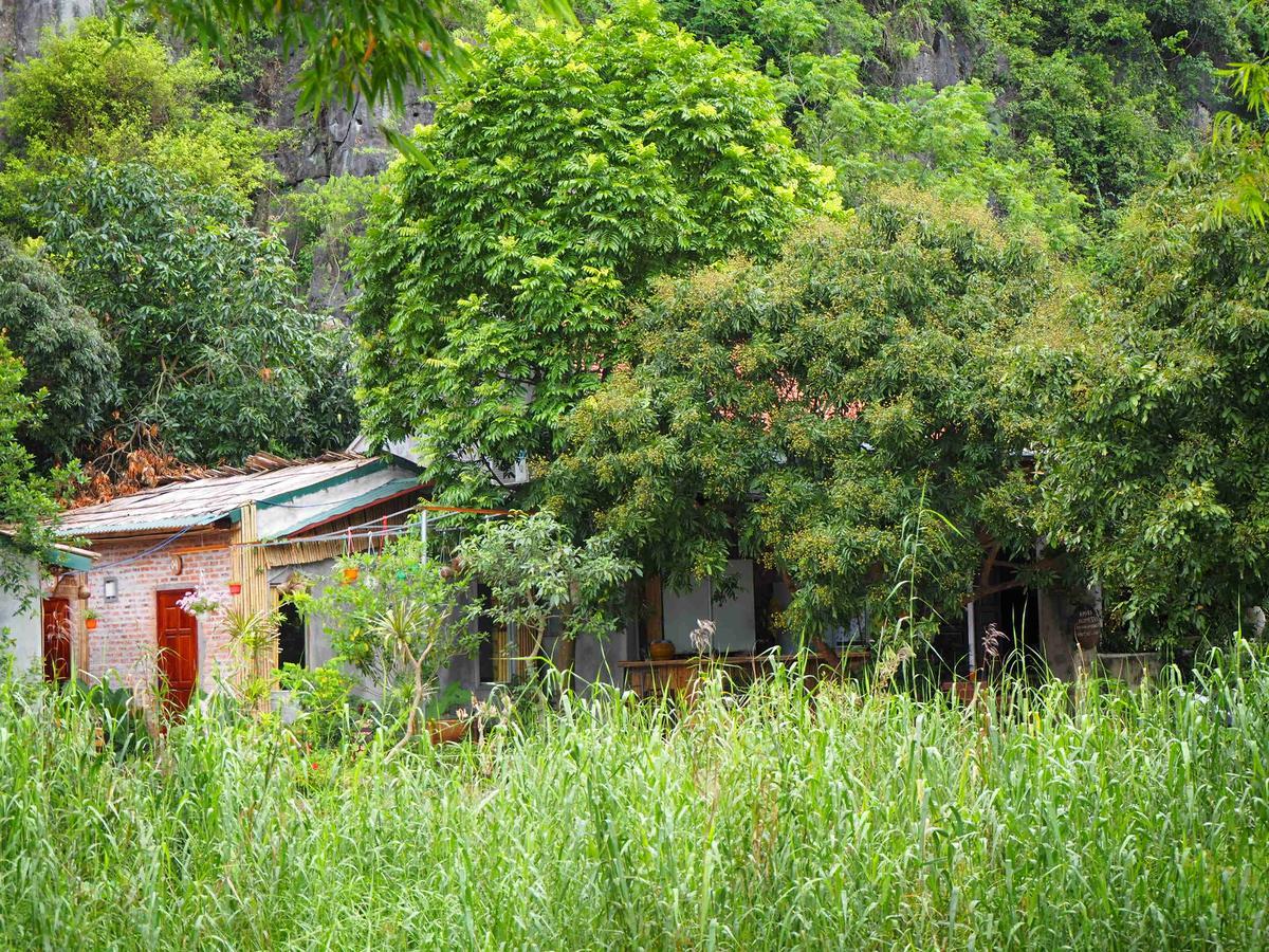 Tuan Nam Homestay Ниньбинь Экстерьер фото